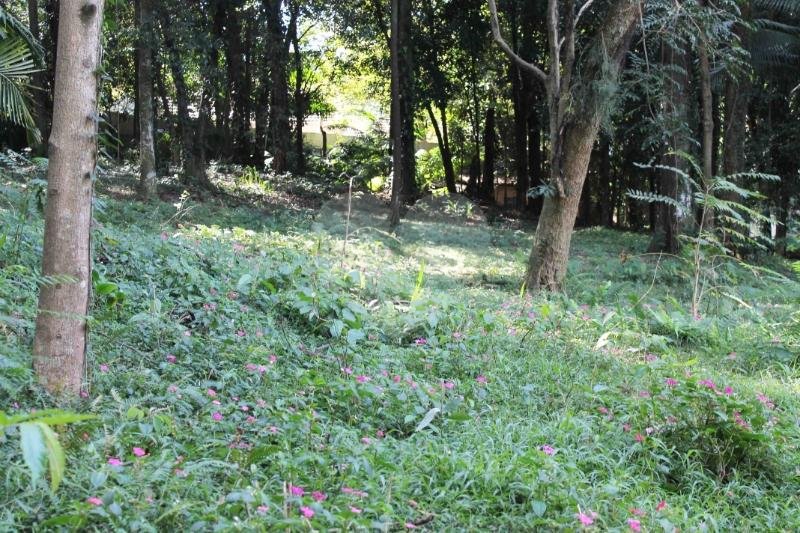 Terreno à venda no condomínio Chácara Flora, São Paulo - SP