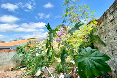 Casa à venda com 2 quartos, sendo 1 suíte,  em Vila Nastri, Itapetininga, SP