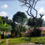 Terreno à venda em Jardim Prudência, São Paulo, SP