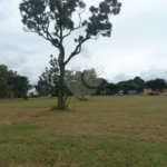Loteamento Residencial no Condomínio Vila Pinhal do Broa.