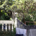 Terreno para alugar em Água Fria, São Paulo, SP