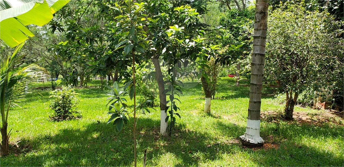 Sitio para venda.