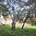 Terreno à venda com 3 quartos, sendo 1 suíte, em Imirim, São Paulo, SP
