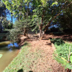 Chácara à venda com 3 quartos, sendo 1 suíte, em Chácara de Recreio Jardim Alvorada, Botucatu, SP