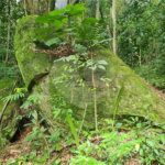 Terreno à venda em Caraguatá, Mairiporã, SP