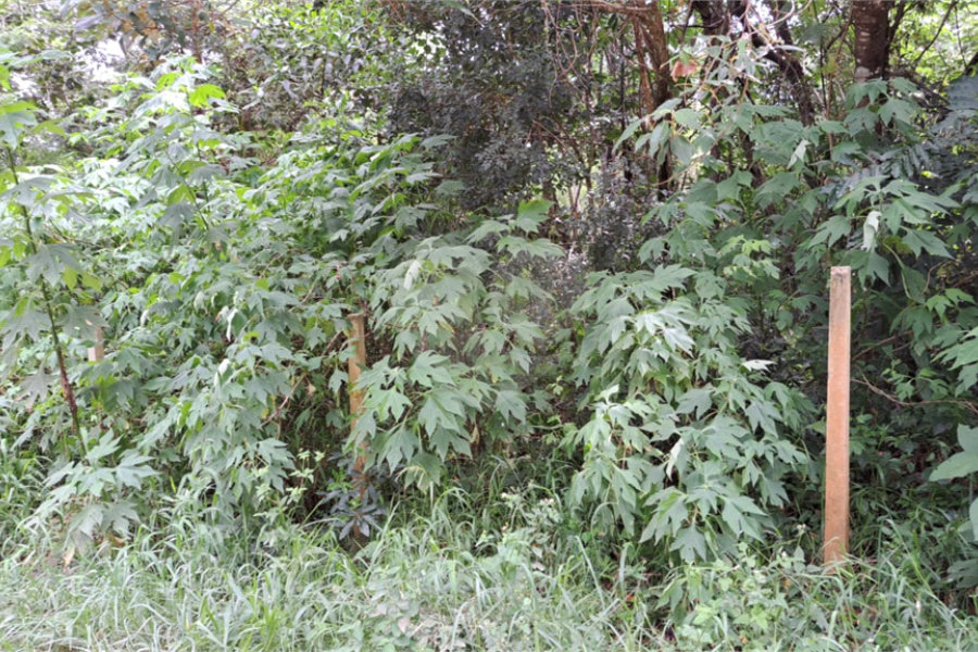 Terreno à venda no condomínio Campos de Mairiporã Gleba 1, Mairiporã - SP
