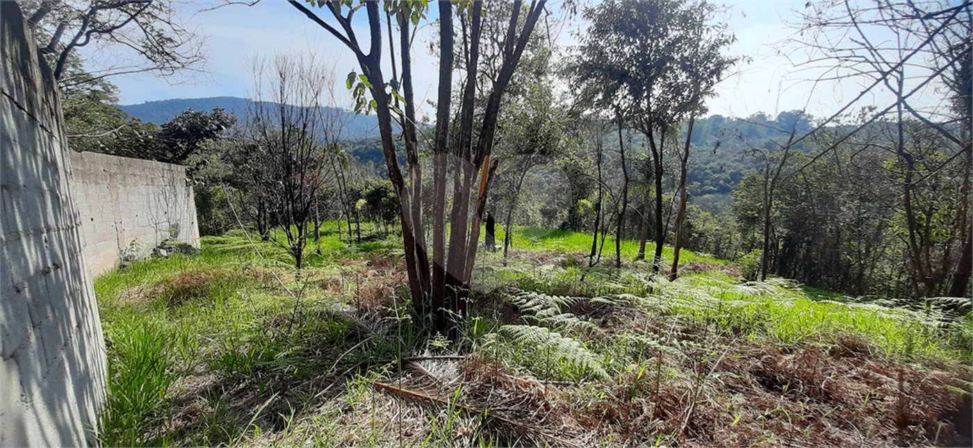 Terreno à venda em São Vicente, Mairiporã, SP