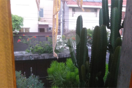 Casa à venda com 3 quartos, sendo 2 suítes, em Vila Mariana, São Paulo, SP