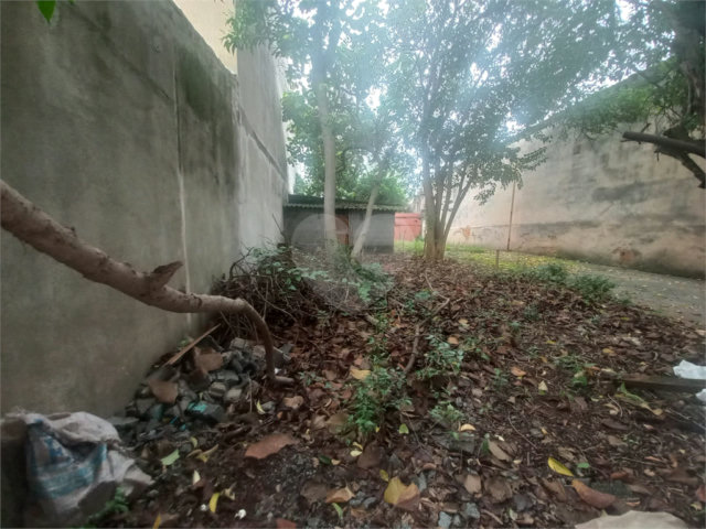 Terreno à venda em Tucuruvi, São Paulo, SP