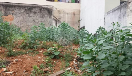 Terreno à venda em Limão, São Paulo, SP