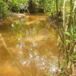 Terreno à venda em Vila Moraes, Mogi das Cruzes, SP