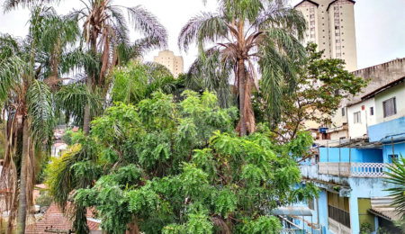 Terreno à venda com 5 quartos em Casa Verde, São Paulo, SP