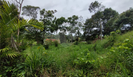 Terreno à venda em Vila Moraes, Mogi das Cruzes, SP