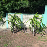 Chácara à venda com 1 suíte em Jardim Estância Brasil, Atibaia, SP