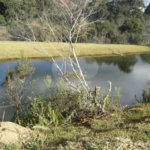 Chácara à venda com 8 quartos, sendo 3 suítes, no Centro, Toledo, MG
