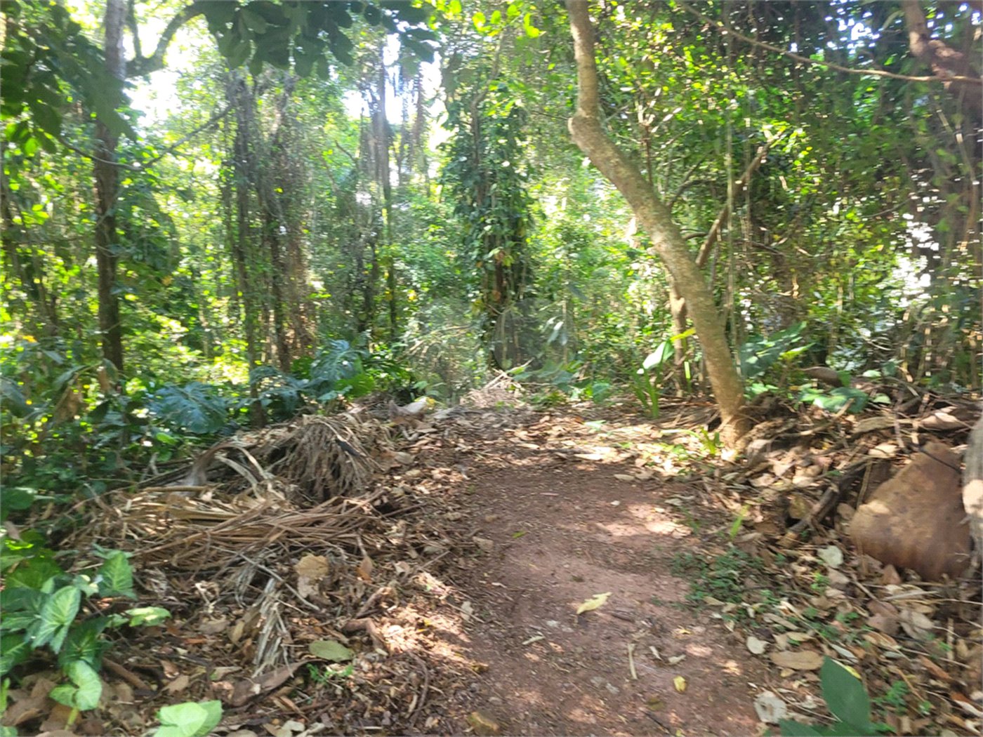 Casa à venda no condomínio Sausalito, Mairiporã - SP