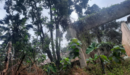 Terreno à venda em Alto da Boa Vista, São Paulo, SP