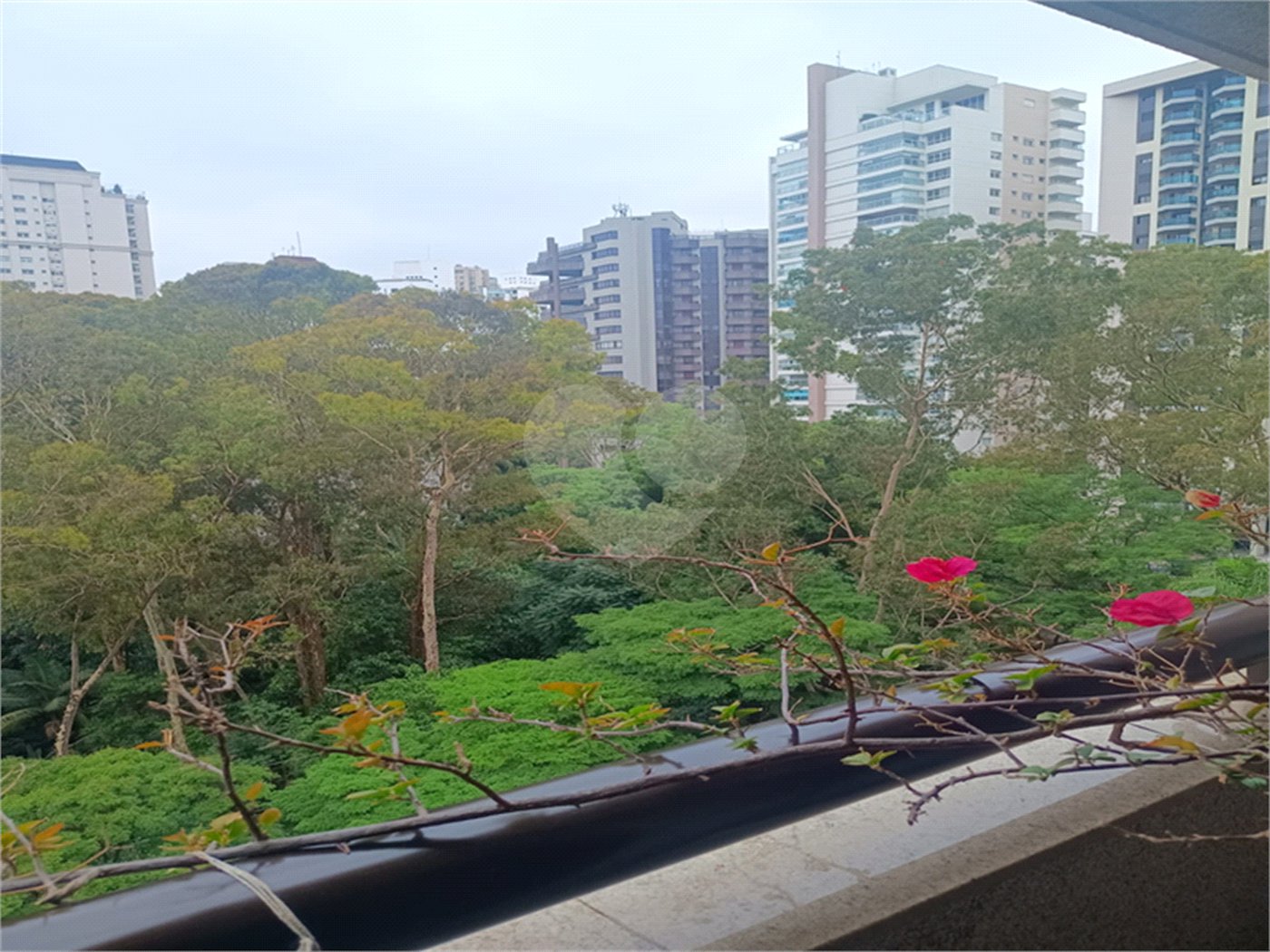 Apartamento à venda com 3 suítes em Vila Suzana, São Paulo, SP
