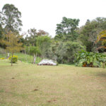 Sítio à venda com 4 quartos, sendo 2 suítes, em Jardim Guaçu, São Roque, SP