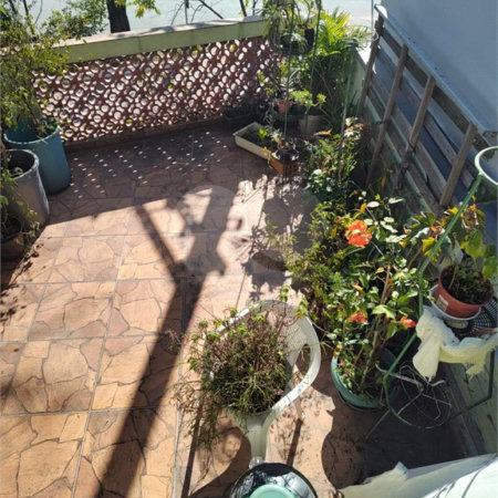 Casa à venda com 4 quartos em Vila Gustavo, São Paulo, SP