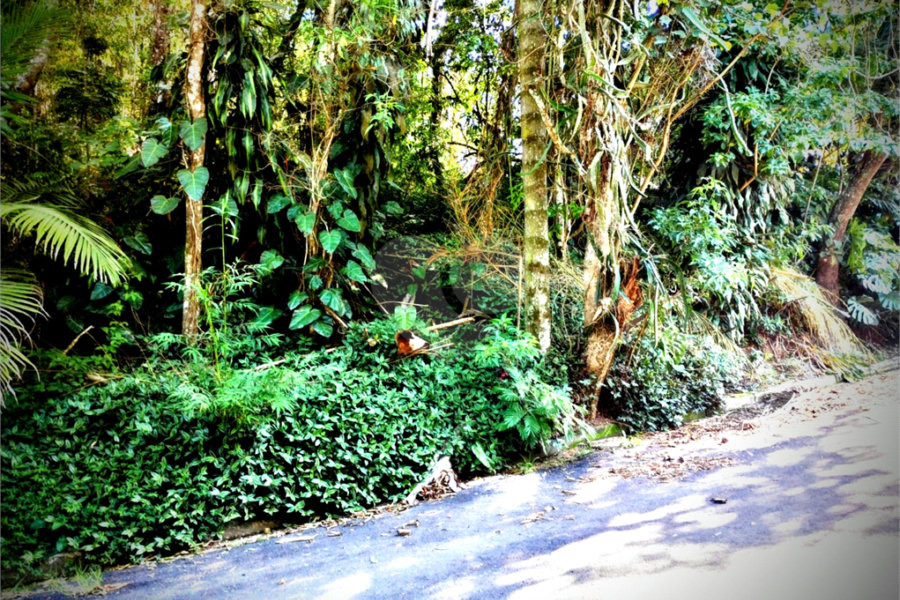 Terreno à venda em Serra da Cantareira, Mairiporã, SP
