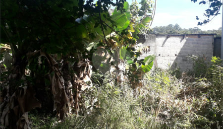 Casa à venda com 3 quartos, sendo 1 suíte, em Tremembé, São Paulo, SP
