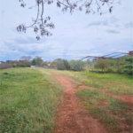 Terreno para alugar em Vila Áurea, Ponta Porã, MS
