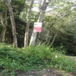 Terreno à venda em Samambaia, Mairiporã, SP