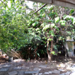 Terreno à venda com 1 quarto em Vila Mazzei, São Paulo, SP