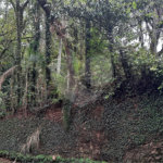 Casa à venda com 3 quartos, sendo 1 suíte,  em Serra da Cantareira, Mairiporã, SP