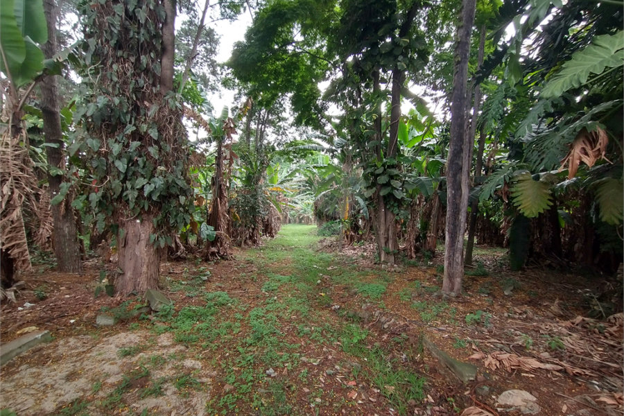 Terreno à venda em Jardim Bela Vista, Guarulhos, SP