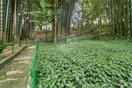 Apartamento à venda com 4 suítes em Jardim Marajoara, São Paulo, SP