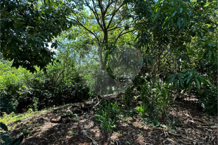 Terreno à venda em Residencial Emilio de Andrade, Ponta Porã, MS