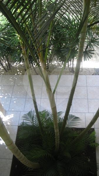 Sobrado à venda com 4 suítes em Tremembé, São Paulo, SP