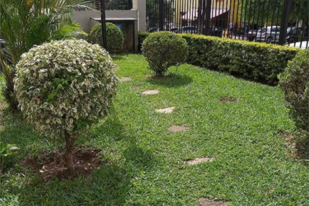 Apartamento à venda com 2 quartos em Jardim Ivana, São Paulo, SP