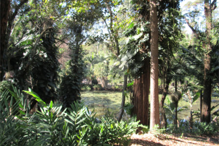 Terreno à venda em Chácara Flora, São Paulo, SP