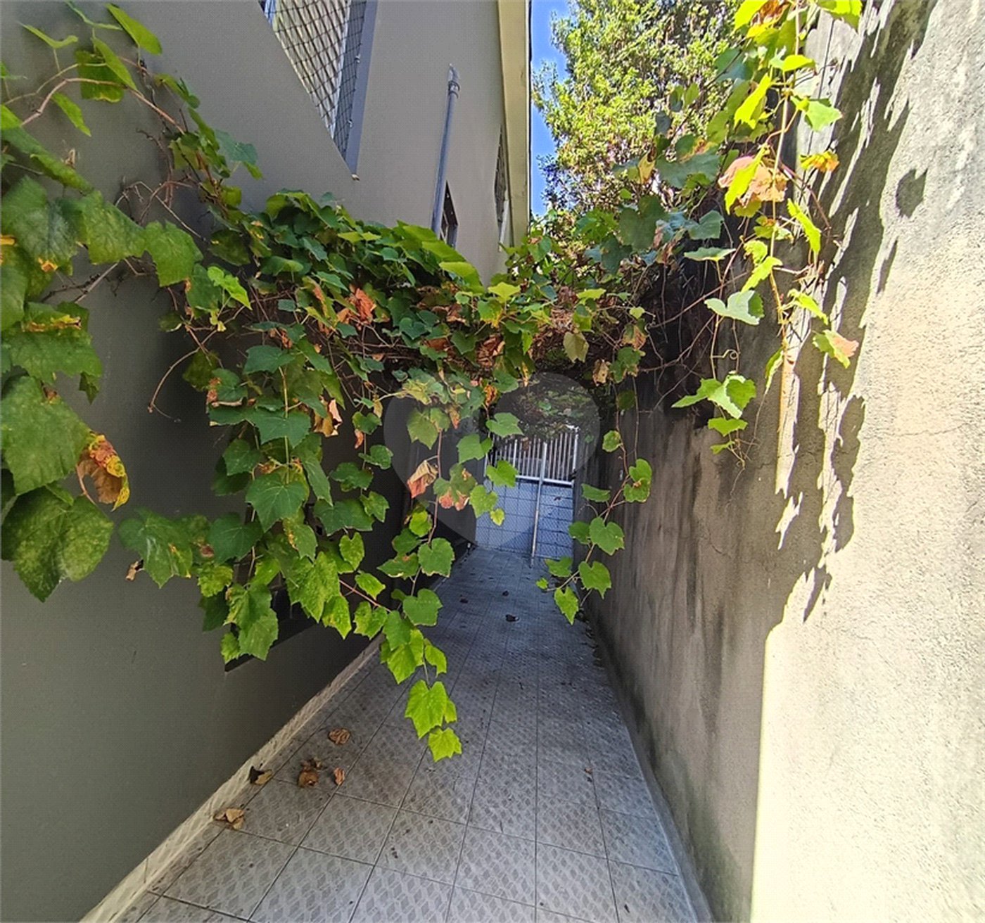 Apartamento para alugar com 2 quartos em Mandaqui, São Paulo, SP