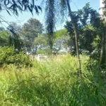 Terreno à venda em Paraisópolis, São Paulo, SP