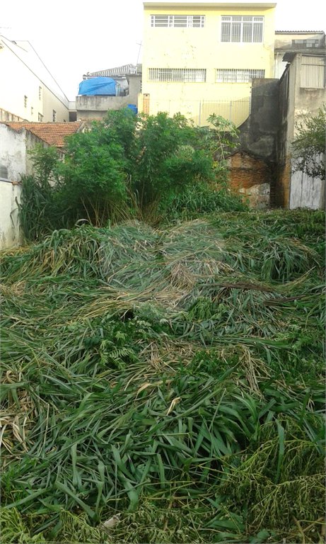 Terreno à venda em Imirim, São Paulo, SP