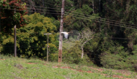 Sítio à venda com 8 quartos em Parque Rio Abaixo, Atibaia, SP