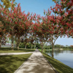 Quinta Do Lago