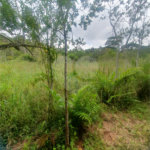 Terreno à venda em Vila Moraes, Mogi das Cruzes, SP