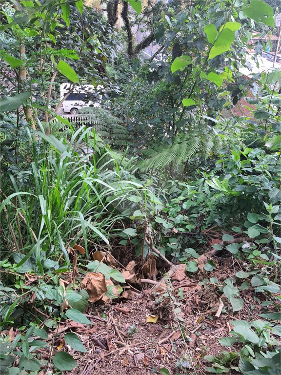 Loteamento à venda em Jardim Amália, São Paulo, SP