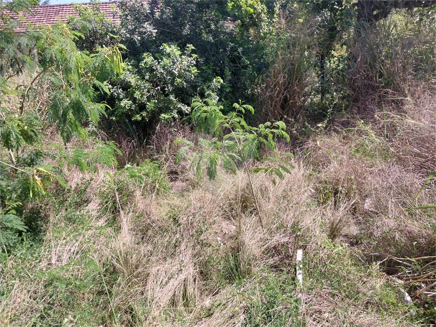 Terreno à venda em Campo Grande, Rio de Janeiro, RJ