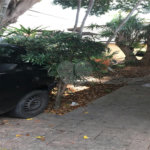 Casa à venda com 4 suítes em Parque Maria Helena, São Paulo, SP