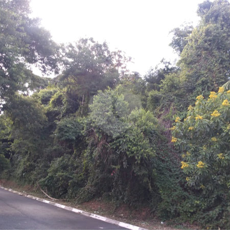 Terreno à venda em Vila Junqueira, Atibaia, SP