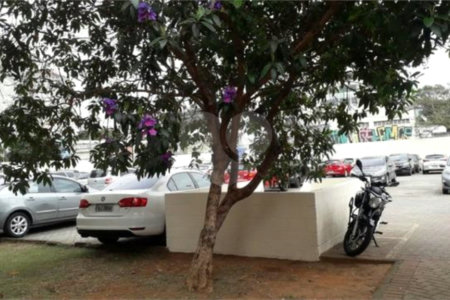 Apartamento à venda com 3 quartos, sendo 1 suíte, em Cambuci, São Paulo, SP