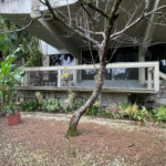 Casa com 6 dormitórios para alugar, 1000 m² por R$ 18.000,00/mês - Morro Santa Terezinha - Santos/SP