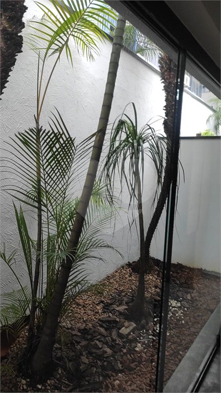 Apartamento para alugar com 1 quarto em Jardim São Paulo(zona Norte), São Paulo, SP