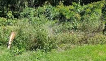 Terreno à venda em Serra da Cantareira, Mairiporã, SP
